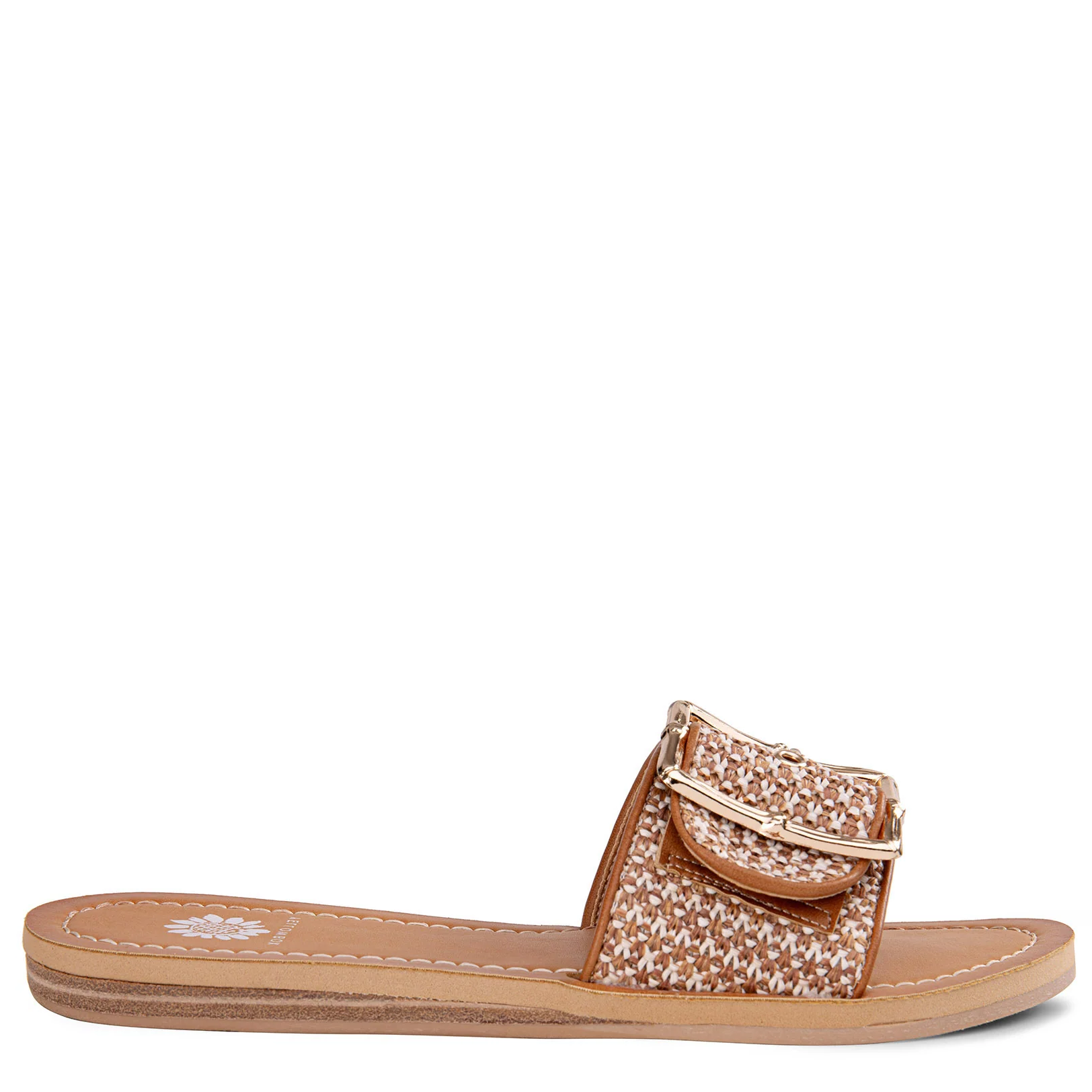 One Band Brown Slide on white bacground
